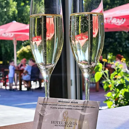 Slávia Svidník Spa&restaurant Hotel Svidnik